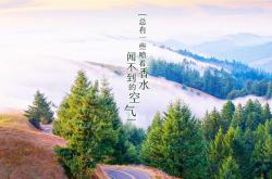 LOL决赛-卡萨布兰卡的复仇，2026世界杯，巴雷拉的血性与罗马尼亚的钢铁意志