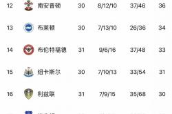 LOL赛事-关于伯恩利十人不敌埃弗顿，连续多轮不胜，降级危机突现的信息