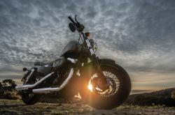 英雄联盟总决赛2025-锁定季后赛最后一张门票！爱德华兹33分撕裂爵士内线，奇才更衣室赛后爆发激烈冲突