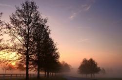 英雄联盟总决赛-跨界风暴，步行者战术智取北京队，杜兰特F1首秀飙车夺魁