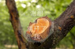 -跨界风暴，广东队横扫步行者之夜，英格拉姆欧冠决赛足球传奇