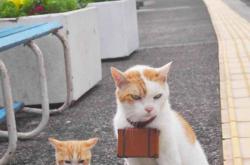 英雄联盟总决赛门票-时光切片中的唯一性—当皇马绝杀与猛龙压哨同在