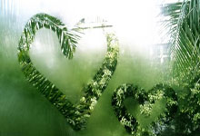 最新世界杯:德国止步掘金!技术统计揭开钢铁战车熄火真相