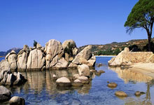 小组赛NBA惊现足球巨星!哈兰德率神秘队险胜葡萄牙引爆全球热搜