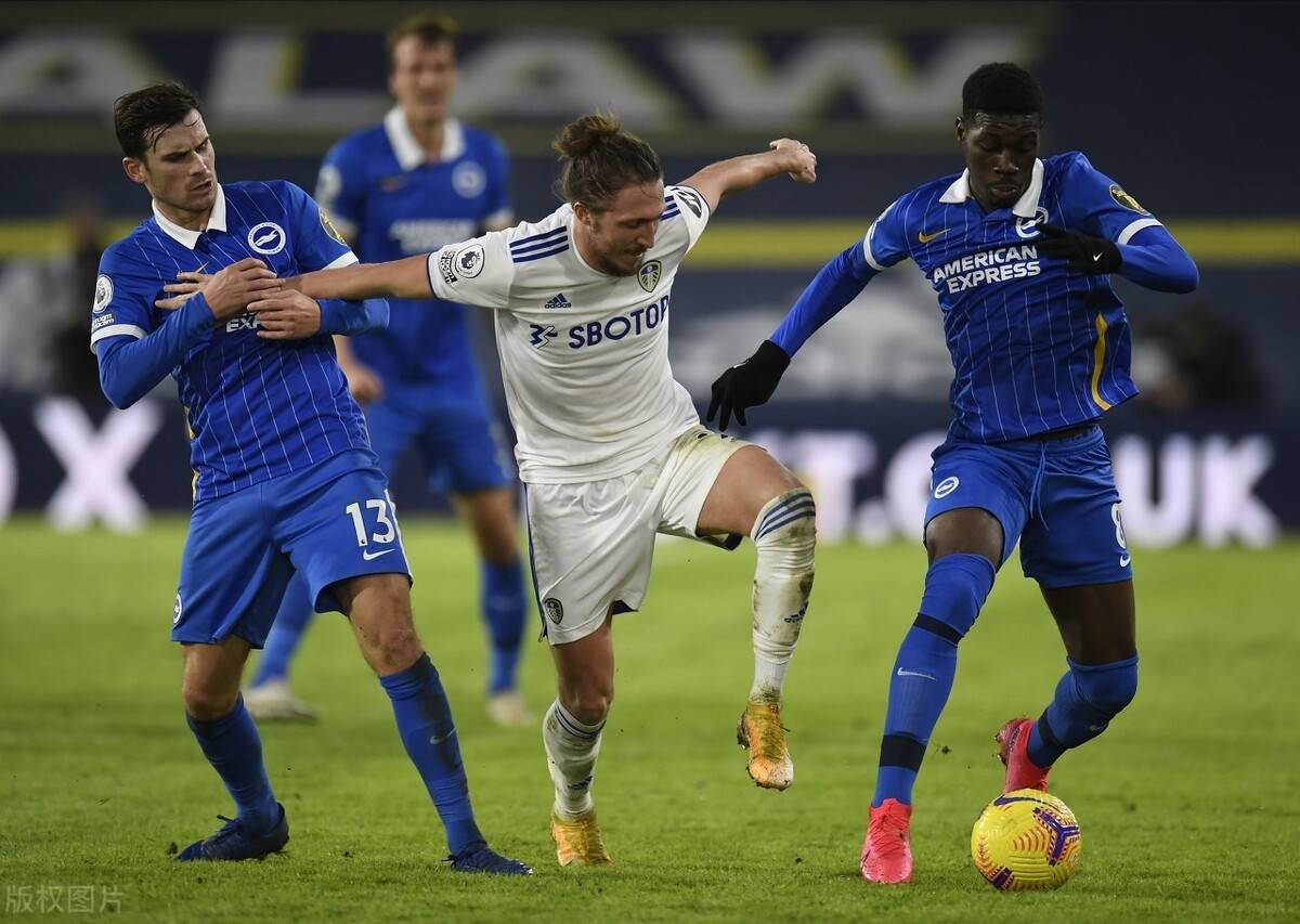 布莱顿主场告捷，保级希望更加光明的简单介绍