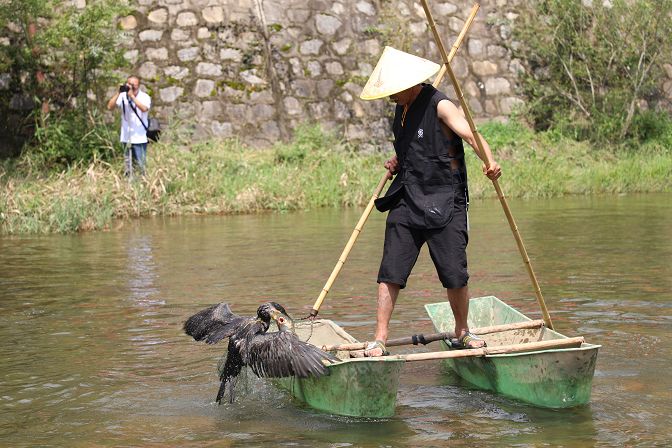 游泳比赛中出现惊人逆转，现场观众惊呼连连的简单介绍