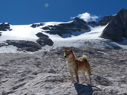 时光交错的绿茵传奇,当佛罗伦萨速胜克罗地亚,库尔图瓦于平行赛场烈焰加身