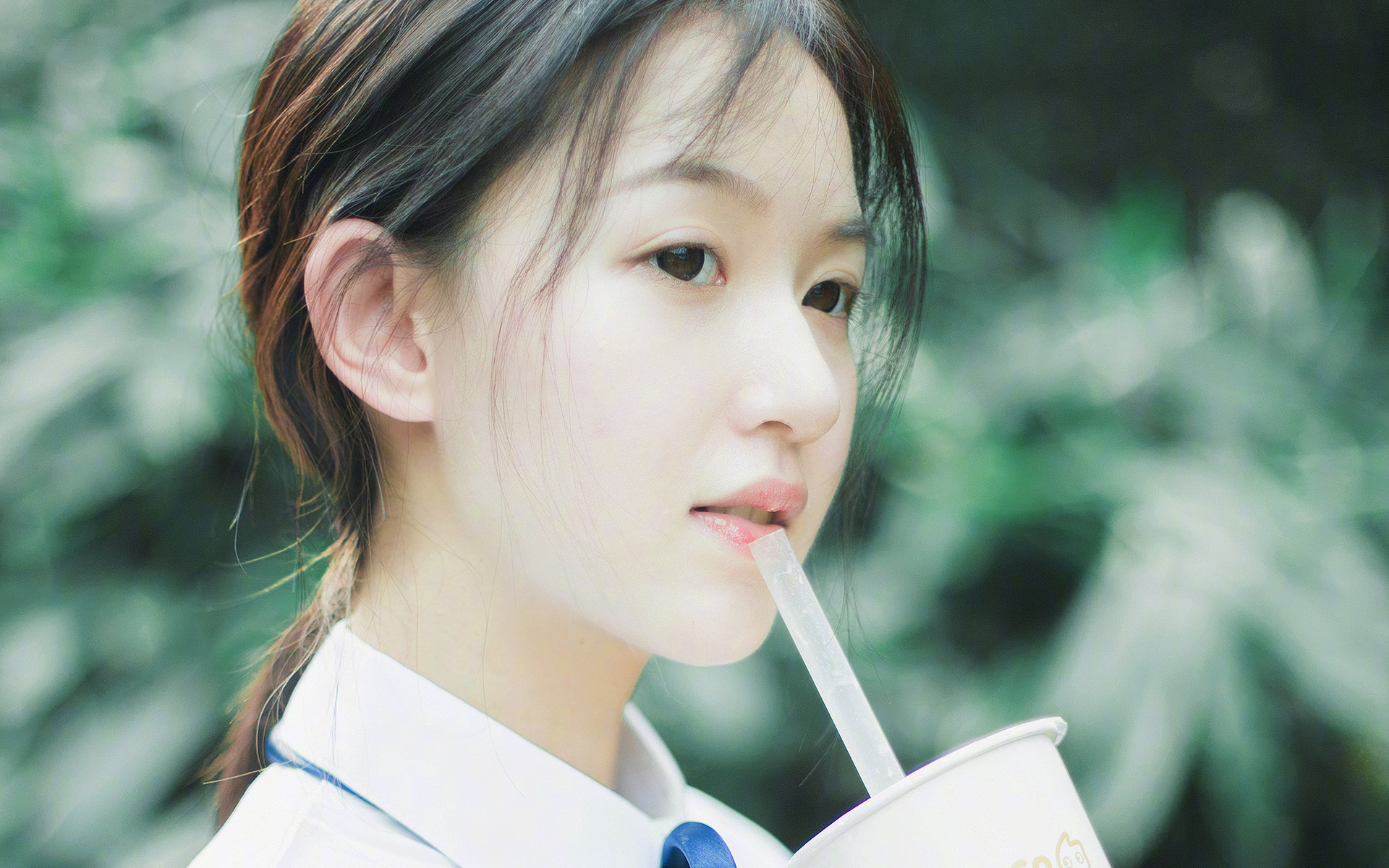 红枫与太极的绿茵博弈,当北美高压遭遇巴西中场引擎