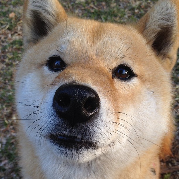 萨内末节狂飙20分,墨西哥爆冷逆转埃及获关键胜利