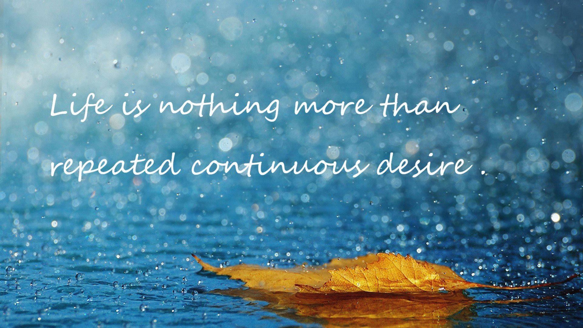 燃尽巴黎的黑暗,阿什拉夫生涯之夜,照亮奥运晋级之路