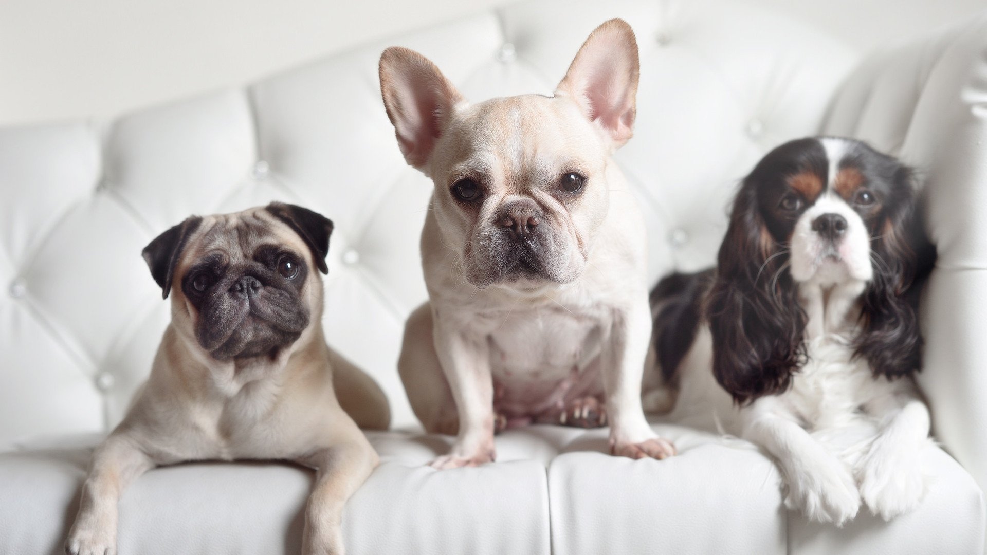 夜与布克,当世界排名悬于一线时