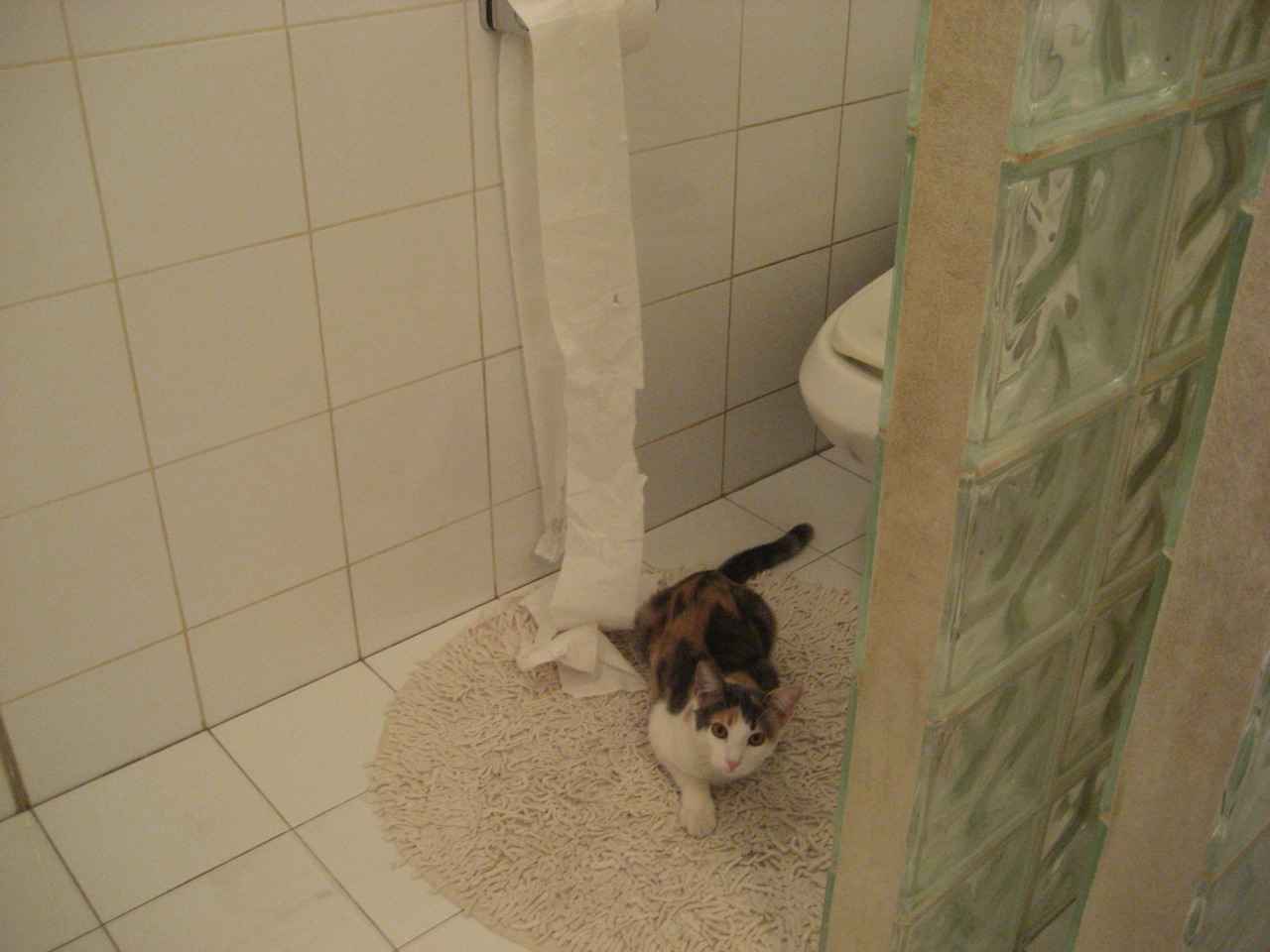 唯一绿茵场，永恒棋盘—摩洛哥如何用团队足球的智慧收割比利时