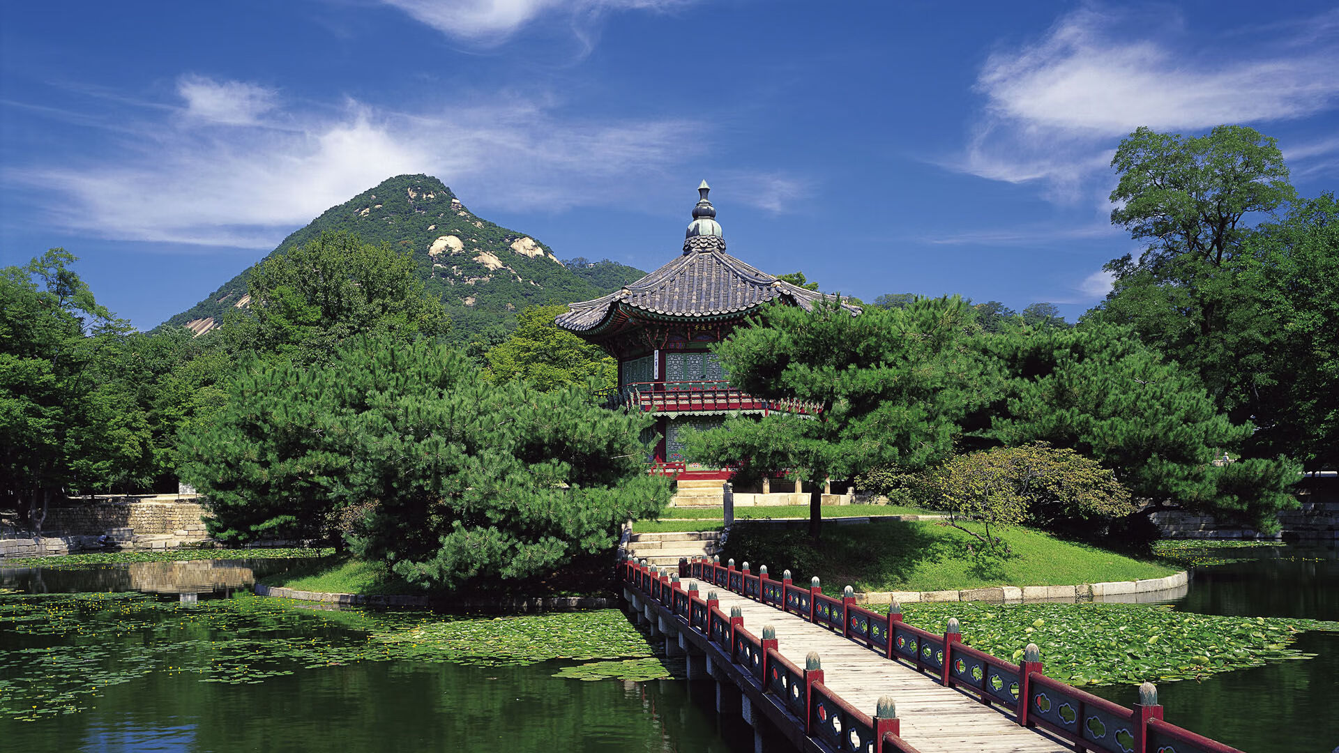 黑翼之下,马丁内利于阿布扎比之夜的加冕序曲