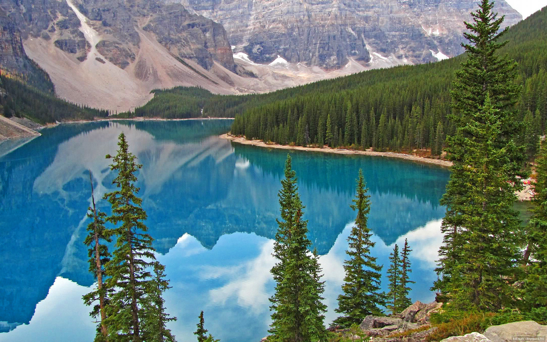 同夜双星,浙江团队铁流吞没灰熊,切特孤峰擎起德甲王冠