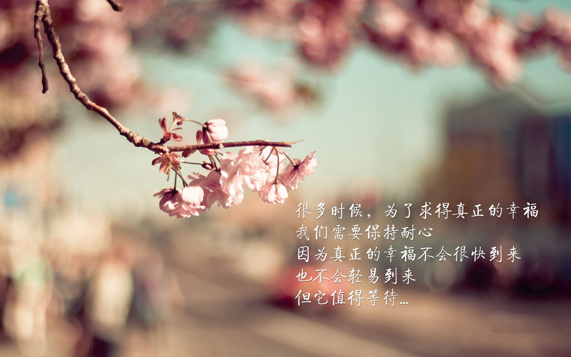 沙漠绿洲与天蓝狂想,2026世界杯F组,拉什福德为乌拉圭点亮唯一征途